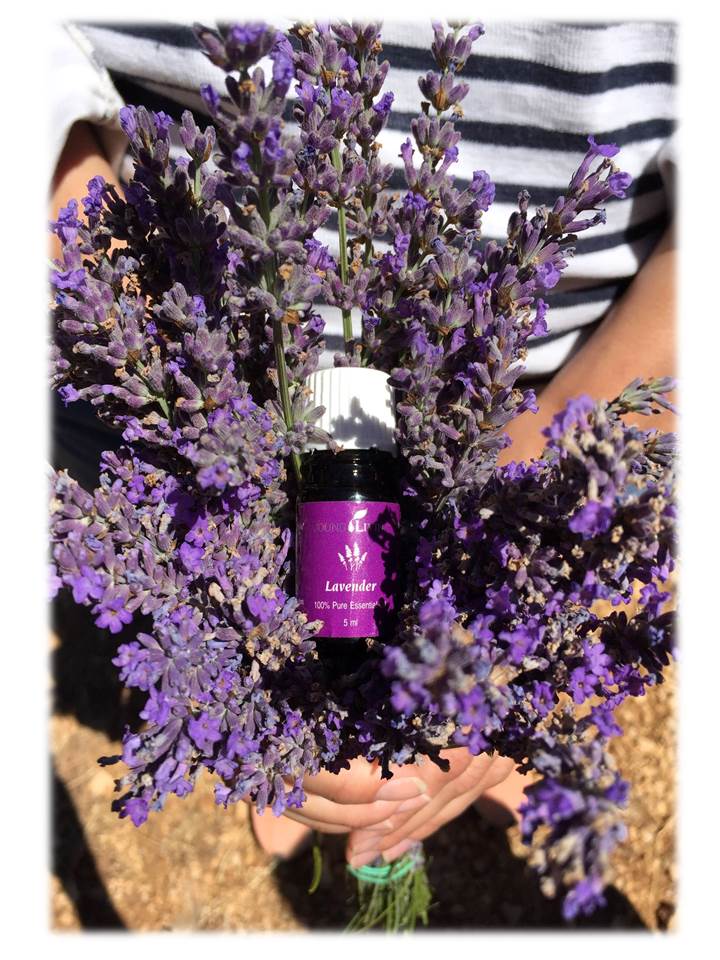 Young Living Essential Oils | Okc Massage Clinic